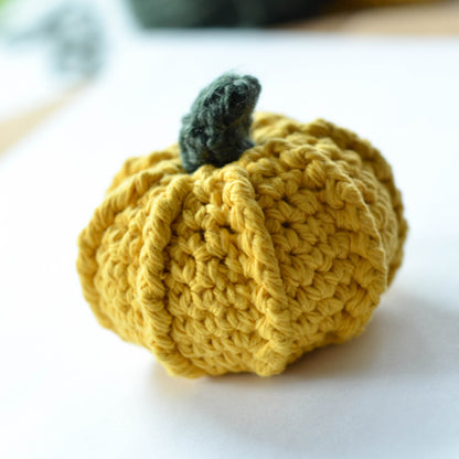 Oh My Gourd, the Pumpkin Crochet Pattern