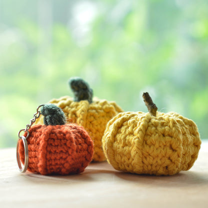 Oh My Gourd, the Pumpkin Crochet Pattern